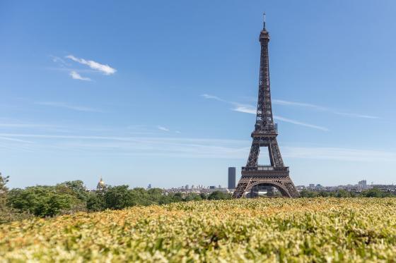 Vue depuis le Trocadéro