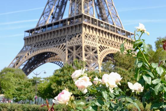 Photo tour Eiffel et fleurs