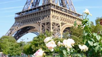 Photo tour Eiffel et fleurs