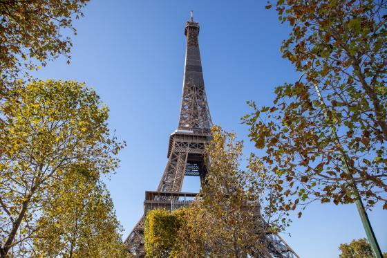 La Tour en automne