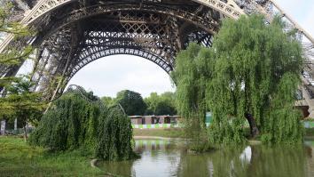 Photo Jardines y pared de vidrio