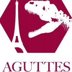 Logo Dinosaure Aguttes