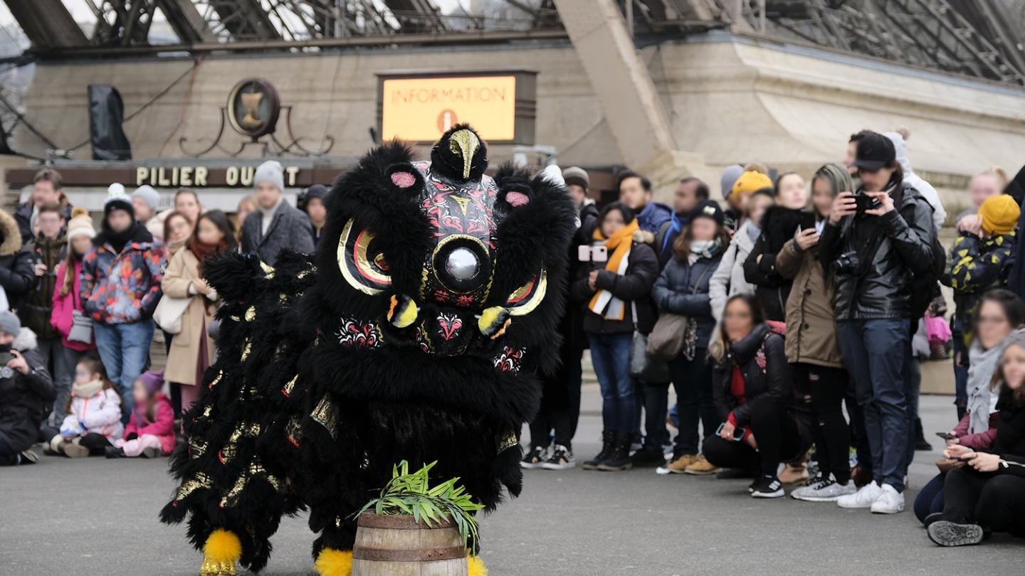 Photo de l'Association Française de Danse du Dragon et du Lion Chinois 