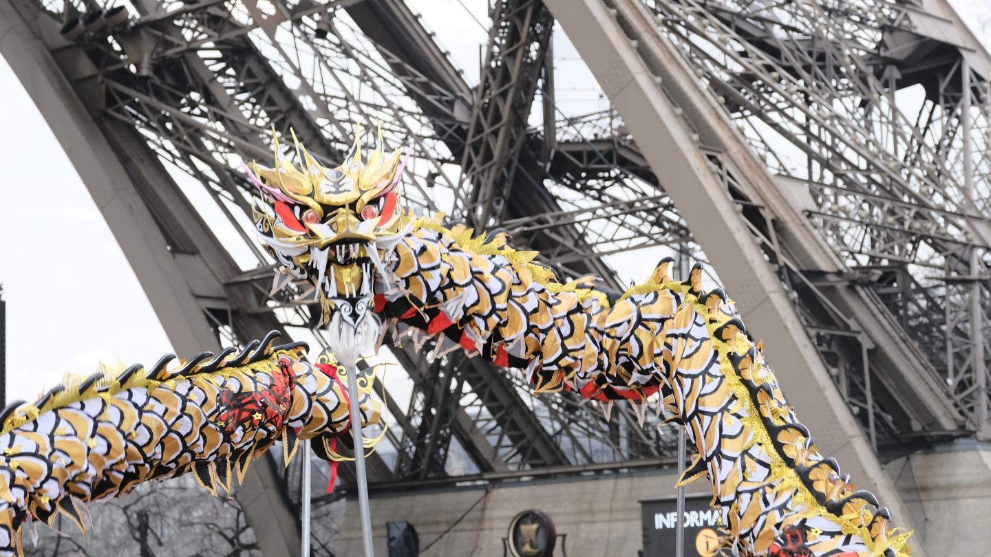 Photo de l'Association Française de Danse du Dragon et du Lion Chinois 