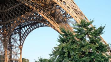 Vue sur le pilier nord de la tour Eiffel