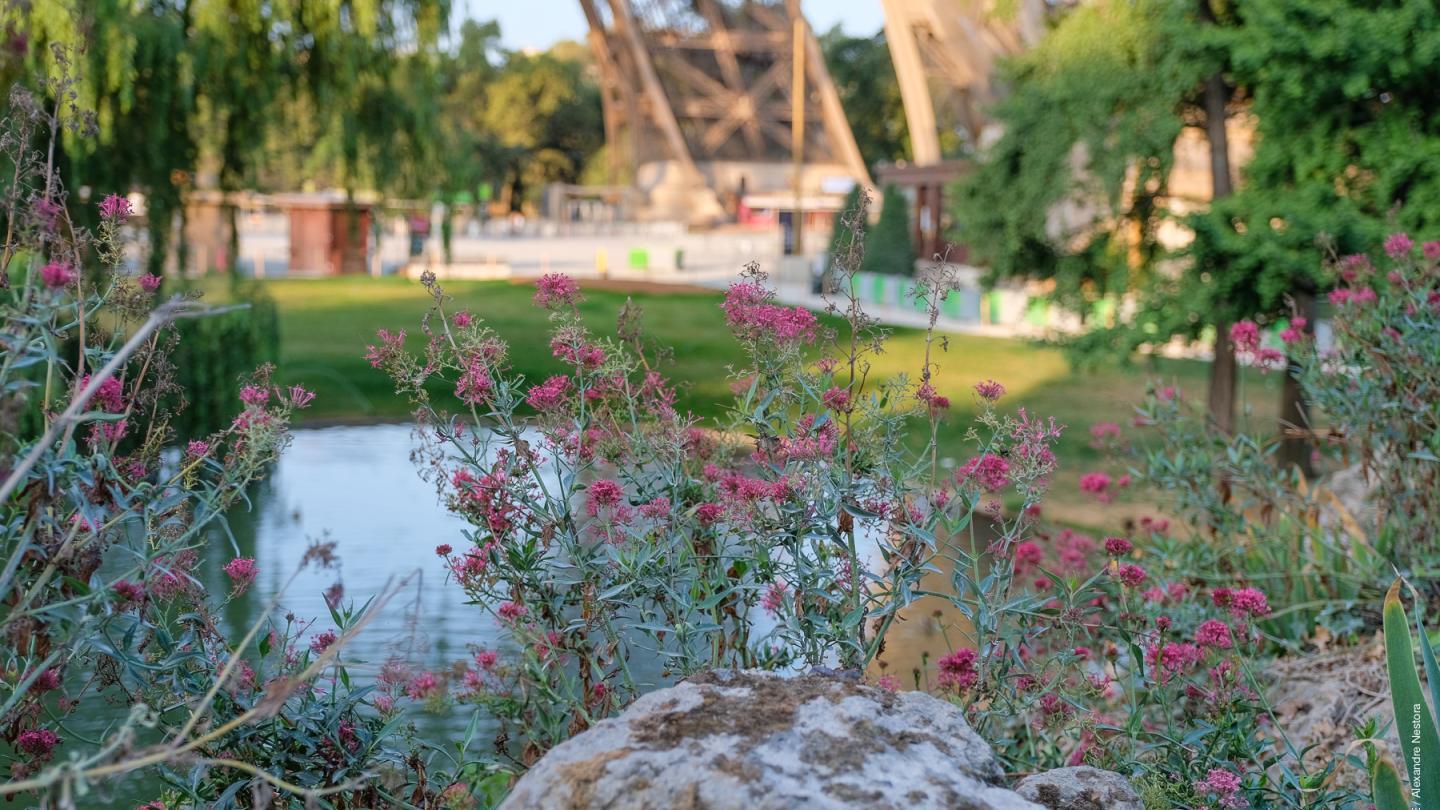 Photo des Jardins tour Eiffel depuis nord-est