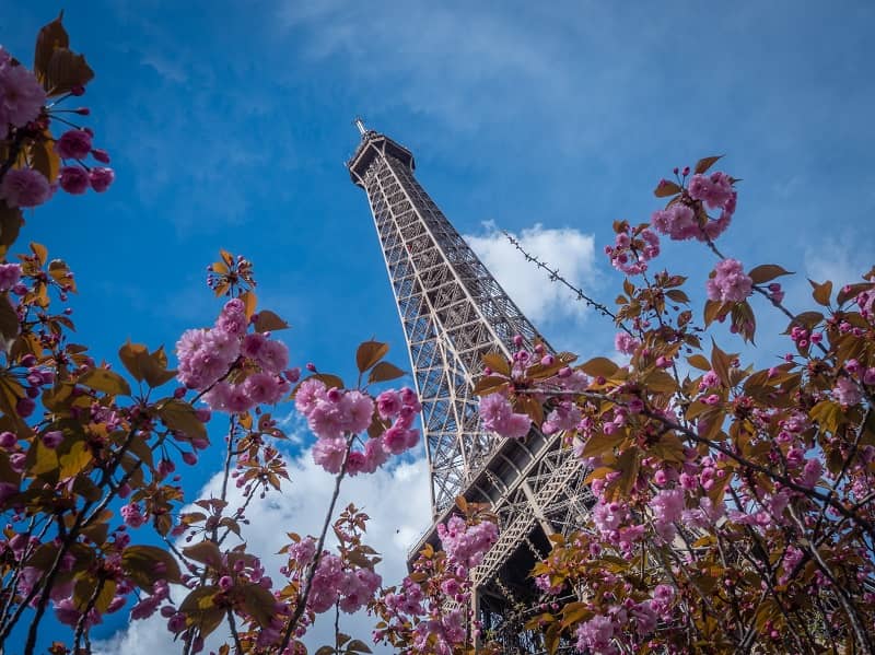 Tour Eiffel au Printemps