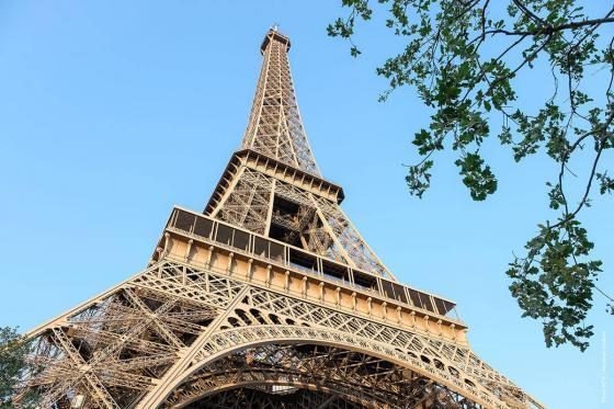 Eiffel Tower from the gardens