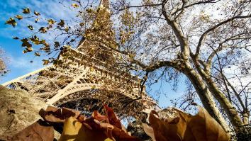 Photo tour Eiffel depuis les jardins