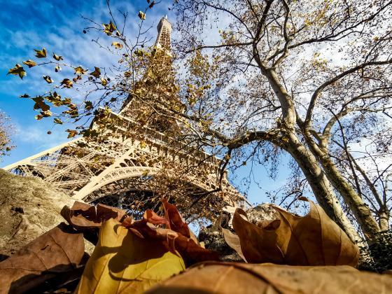 Photo de la tour Eiffel en hiver